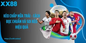 Kèo Chấp Nửa Trái - Cách Đọc Chuẩn Và Soi Kèo Hiệu Quả